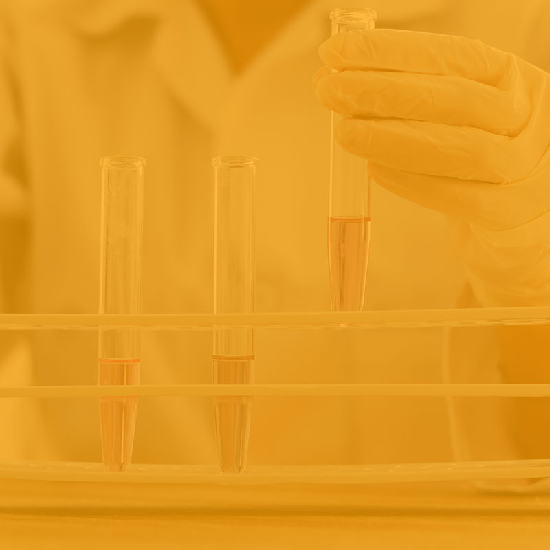 mdln_16-001_servlces_800x800_pharma mdln_16-001_servlces_800x800_pharma
