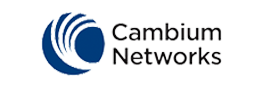cambium 形成层的标志